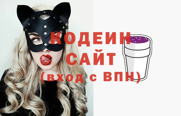гидра Арсеньев