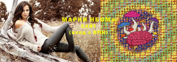 гидра Арсеньев